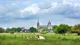 Foto bossche broek
