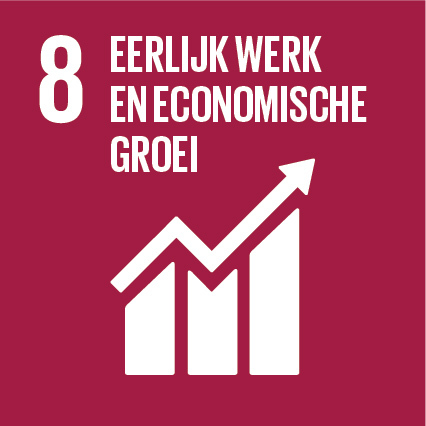 Sdg icon nl rgb 08