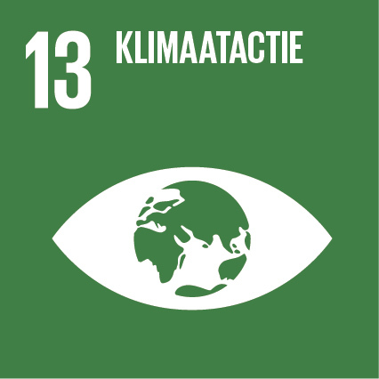 Sdg icon nl rgb 13