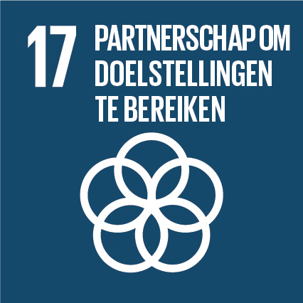 Sdg icon nl rgb 17